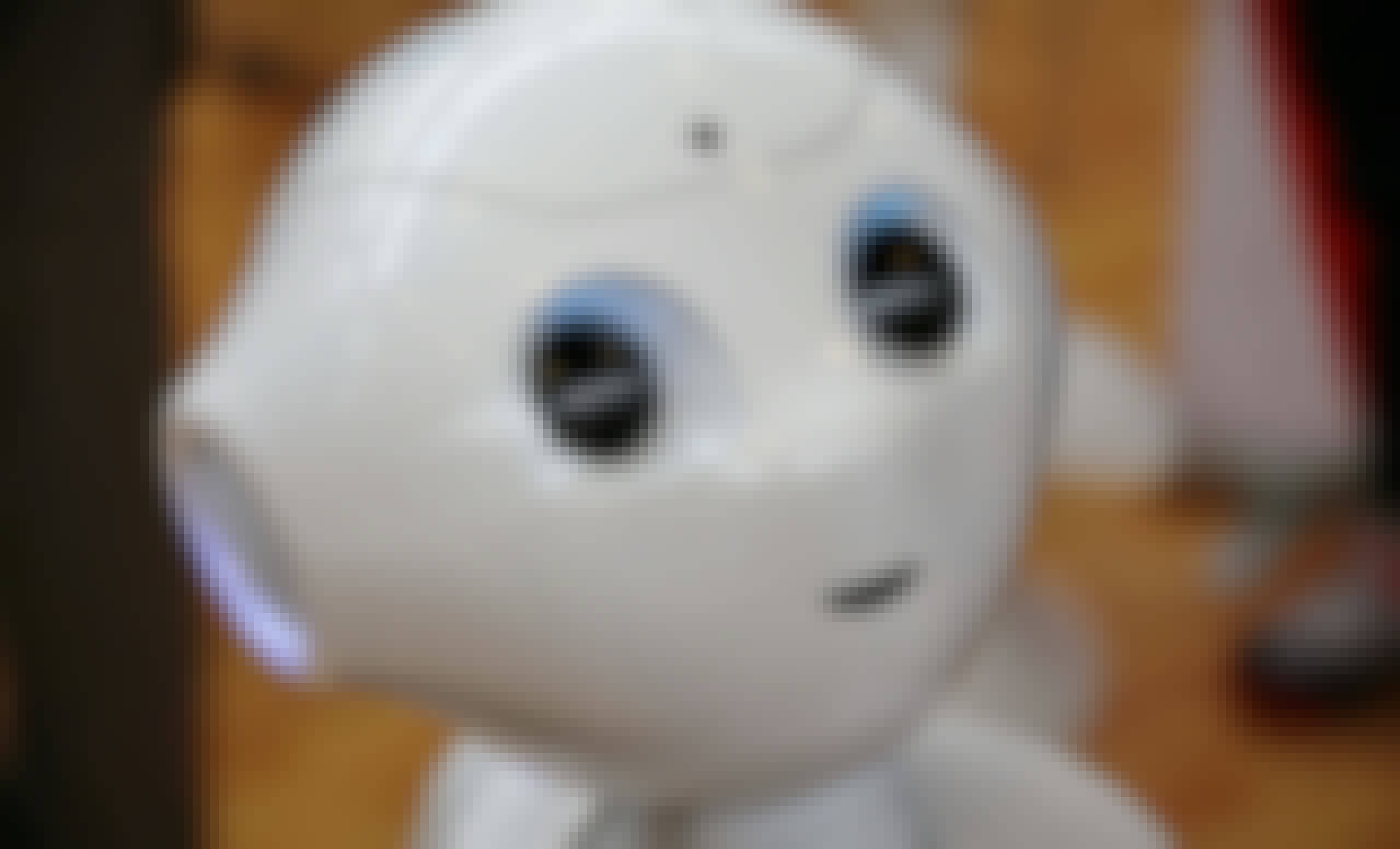 Pepper Robot Softbank
